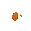 almond seed