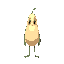 seed