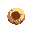 seed