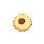 seed