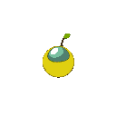 oval seed without shadow