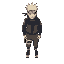 naruto ninja