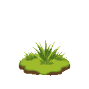 grass