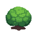 bush