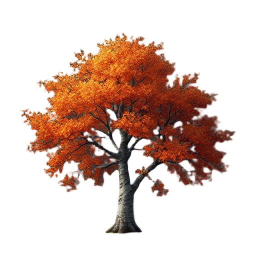autumn birch tree dark ambient old style no background and grass