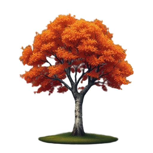 autumn birch tree dark ambient old style no background and grass
