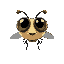 cartoon fly with big eyes