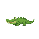 crocodile
