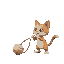 a small cat tries to pull its toy to the left with all its strength.