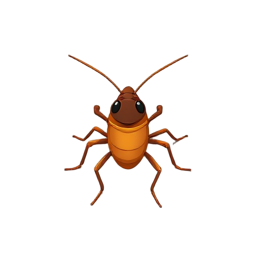 a cockroach