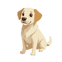 cream-colored coat labrador retriever with golden-tipped ears .