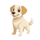 cream-colored coat fur labrador retriever with small golden-tipped ears .