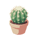 a small as mammillaria plumosa covered with white throns in a light pink/peach ceramic pot. 