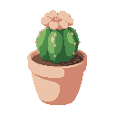 a small pachypodium in a light pink/peach ceramic pot. 