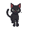 black cat