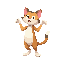 cat dancing