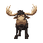 battle moose