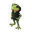 a frog wearing a black hoodie