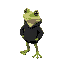 a frog wearing a black hoodie