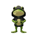 a frog wearing a black hoodie