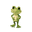 frog