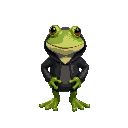 a frog wearing a black hoodie
