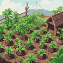 weed farm