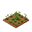 weed farm