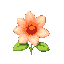 flower detailed big illustration 