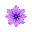 detailed lilac flower