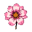 flower detailed big