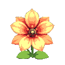 flower detailed big