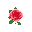 detailed rose flower