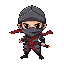 ninja character