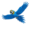 blue macaw frames for sprites 128px flying 
