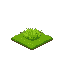 grass