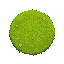grass