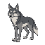 wolf