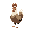 chicken