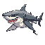 shark with strong human legs