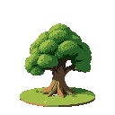 lush big tree