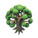 a huge magical tree of gods