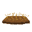 medieval   planting soil   with lots and lots of wheat   designed for a retro style farm simulation game.