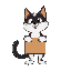 gato blanco negro saliendo de una caja de carton marron