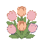 pastel tone, tulips
