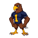 human-like eagle with brown feathers, yellow beak, navy jersey with yellow "1", muscular build, clawed yellow feet, upright stance, athletic and confident look.