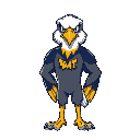 kent state golden flash eagle 