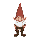 funny looking gnome