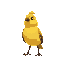 a yelow goldfinch bird