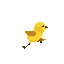 a cute yellow goldfinch bird runing to the right